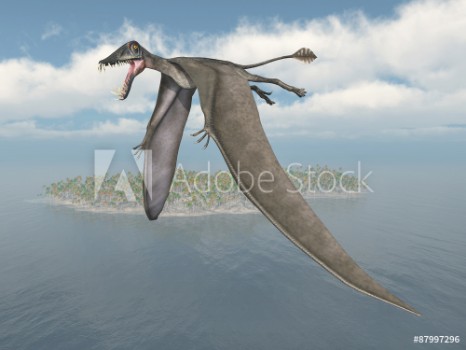 Picture of Pterosaur Dorygnathus